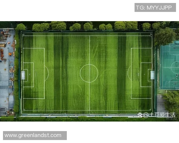 足球场地过大看不见球星的现象背后原因与解决之道分析