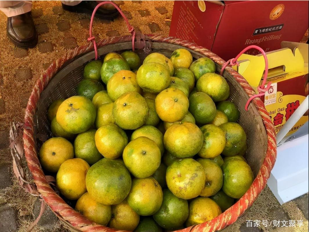 广东一种